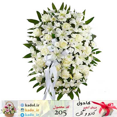 تاج گل مانا تاج گل مانا